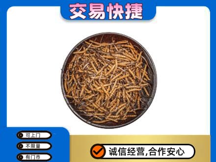 乐山回收散虫草